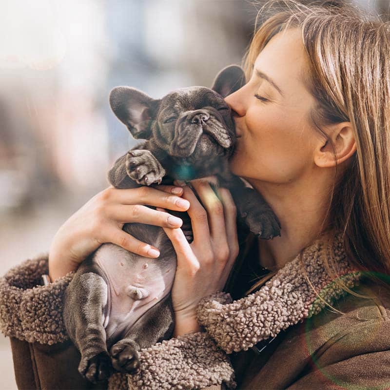 สินค้าหมาแมว