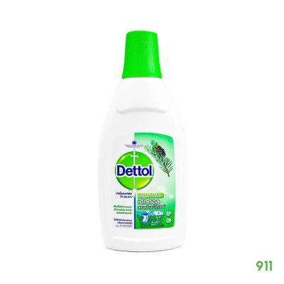 เดทตอล ลอนดรี แซนิไทเซอร์ ผลิตภัณฑ์ฆ่าเชื้อแบคทีเรียสำหรับเสื้อผ้า Dettol Anti-Bacterial Laundry Sanitiser